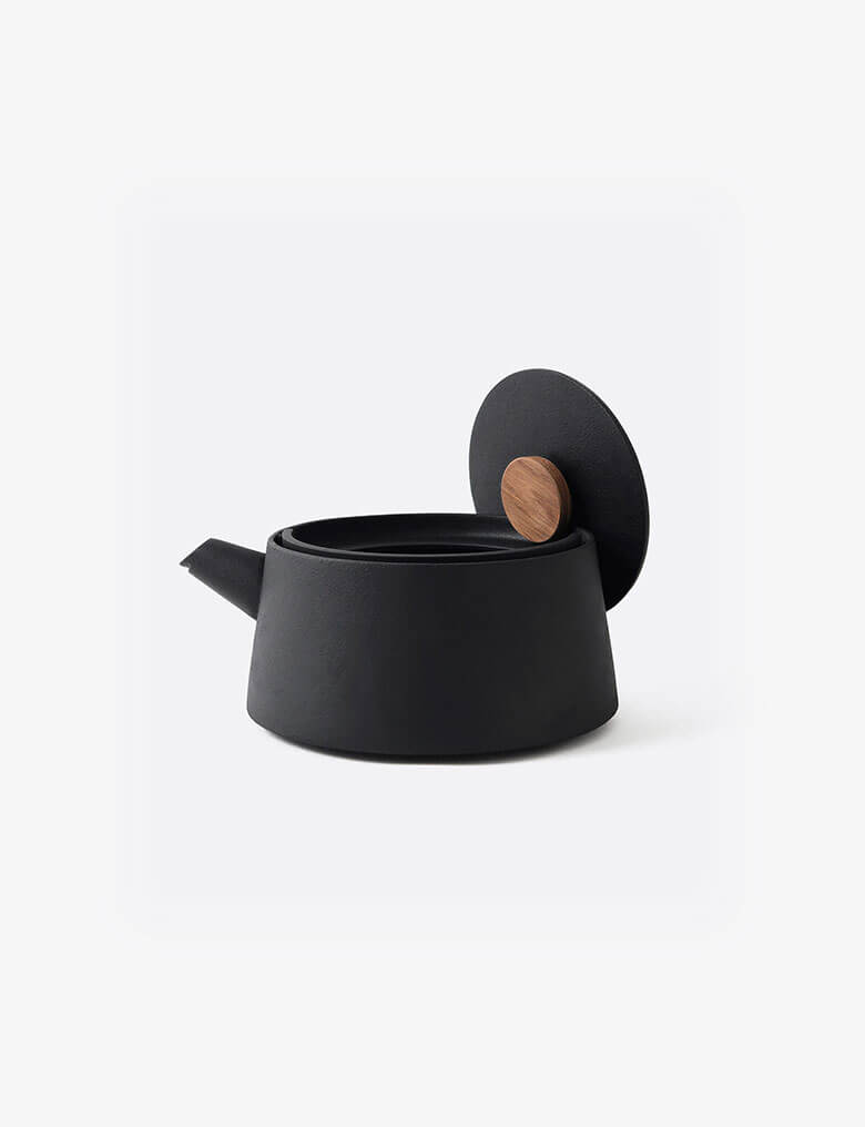 Iron kettle nambu tekki